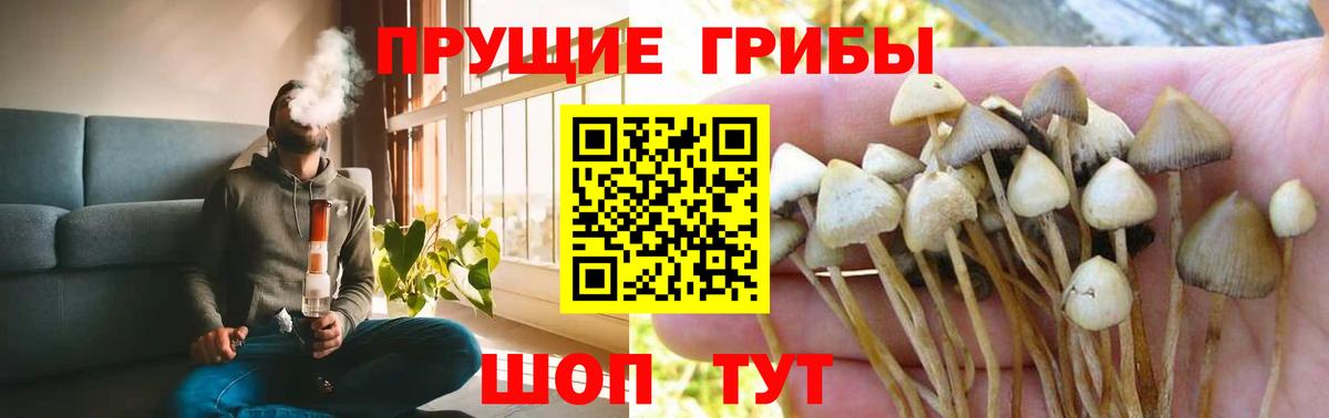 Псилоцибиновые грибы ЛСД  Вход с VPN  Кохма 